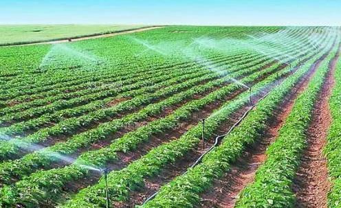 爱屌日在线视频农田高 效节水灌溉